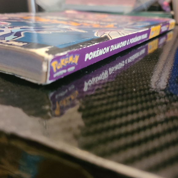 Pokemon Diamond & Pearl Strategy Guide - Picture 5 of 10